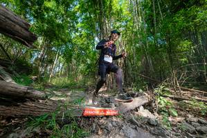 BIB: 
                            <button type="button" onclick="openModal(19390065)" class="btn btn-primary btn-sm float-right btn-popup" data-toggle="modal" data-target=".modal-high-quality">
                        <i class="fas fa-shopping-cart"></i> Add to Cart
                    </button>
                                            <button type="button" onclick="isThisMe(19390065, true)" class="btn btn-success btn-sm float-right btn-popup btn-isme hidden" data-toggle="tooltip" data-placement="bottom" title="นี่คือรูปของคุณใช่ไหม คลิกที่นี่เพื่อเอาเข้าอัลบั้ม">
                        <i class="fas fa-plus"></i> Add to album
                    </button>
                    <button type="button" onclick="isThisMe(19390065, false)" class="btn btn-warning btn-sm float-right btn-popup btn-isnotme hidden">
                        <i class="fas fa-ban"></i> Remove from album
                    </button>